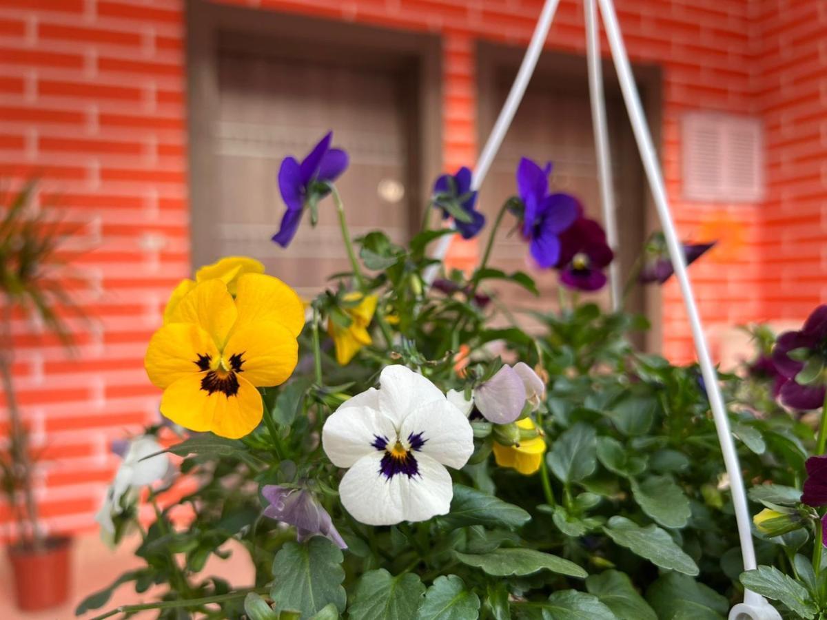Chestnut Yard Villa Тирана Екстериор снимка